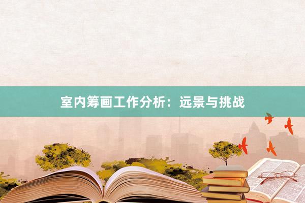 室内筹画工作分析：远景与挑战